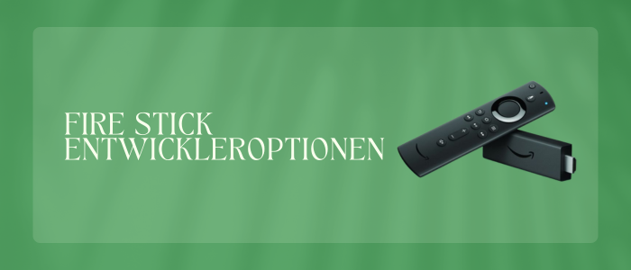 Fire Stick Entwickleroptionen